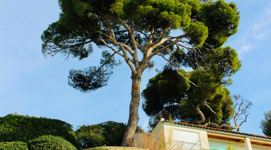 Comment choisir la maison idéale ?