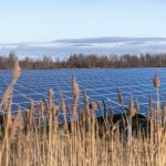 Projet agrivoltaïsme : comment allier agriculture et énergie solaire ?