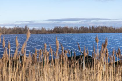 Projet agrivoltaïsme : comment allier agriculture et énergie solaire ?