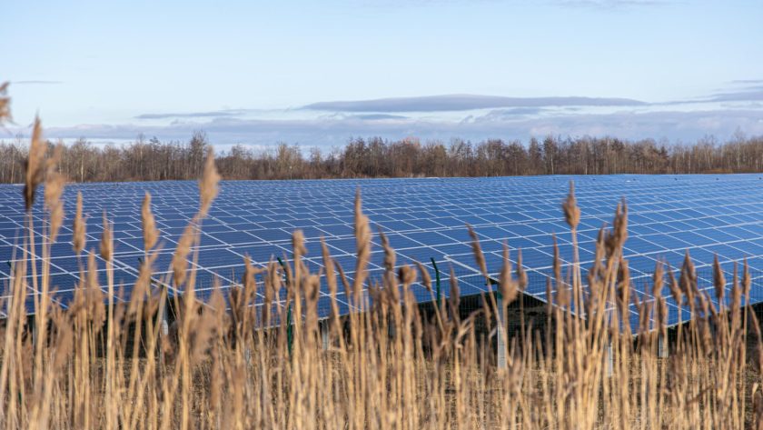 Projet agrivoltaïsme : comment allier agriculture et énergie solaire ?